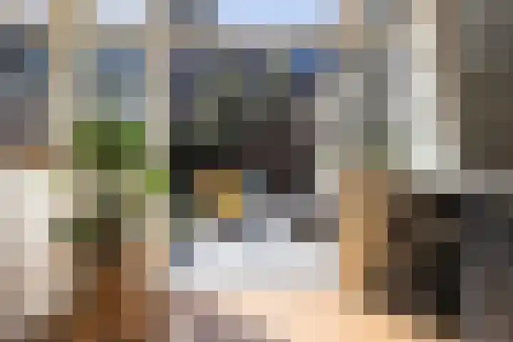 Biesterweg 44 Eindhoven thumbnail 21