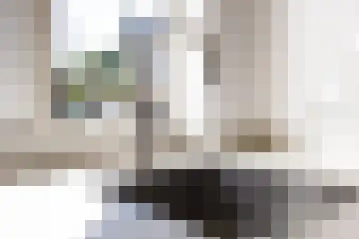 Biesterweg 44 Eindhoven thumbnail 23
