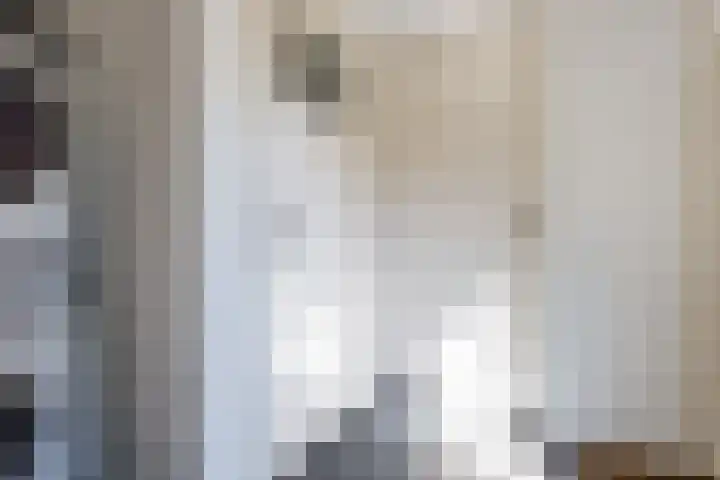 Biesterweg 44 Eindhoven thumbnail 25