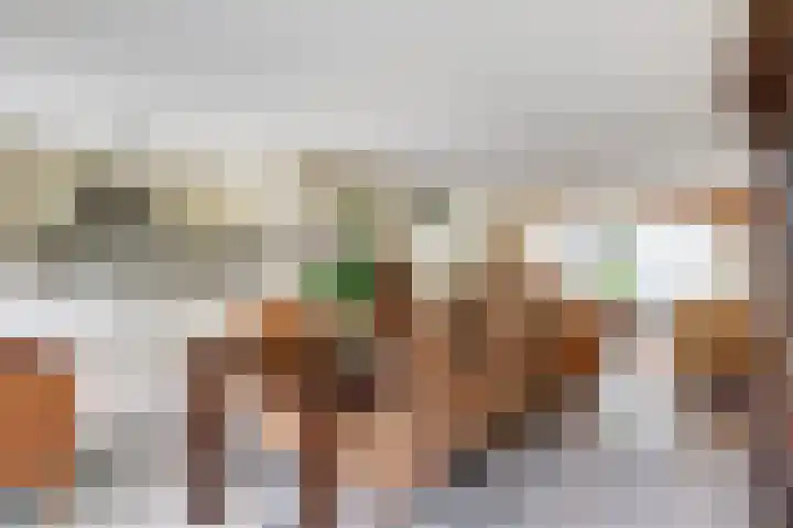 Biesterweg 44 Eindhoven thumbnail 32