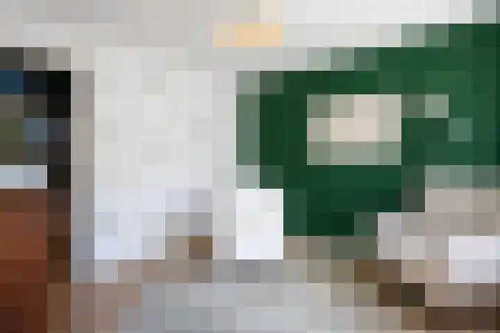 Biesterweg 44 Eindhoven thumbnail 32
