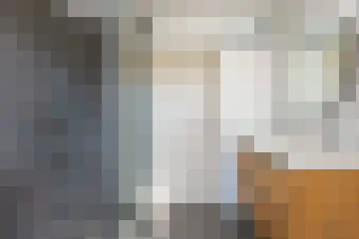 Biesterweg 44 Eindhoven thumbnail 37