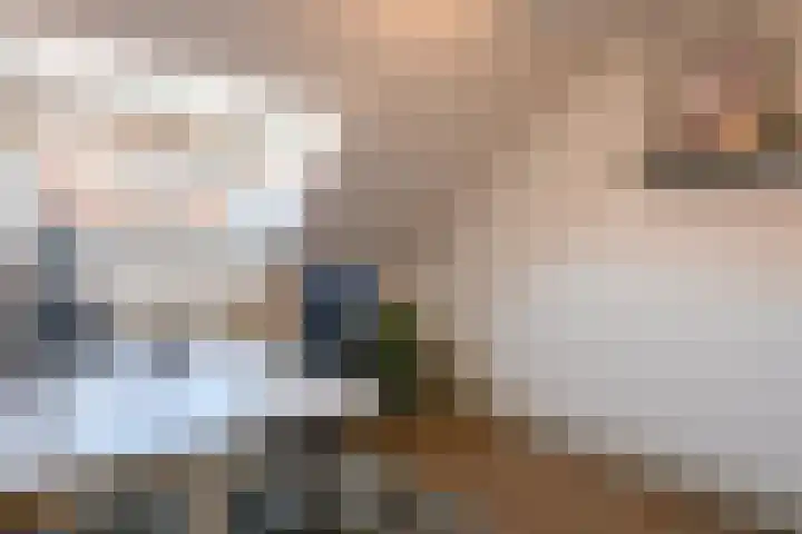 Biesterweg 44 Eindhoven thumbnail 46