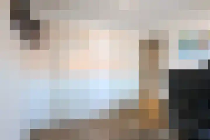 Biesterweg 44 Eindhoven thumbnail 47