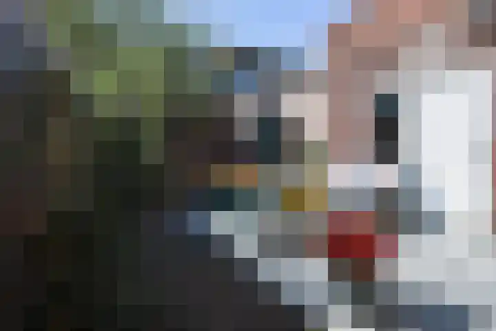 Biesterweg 44 Eindhoven thumbnail 53