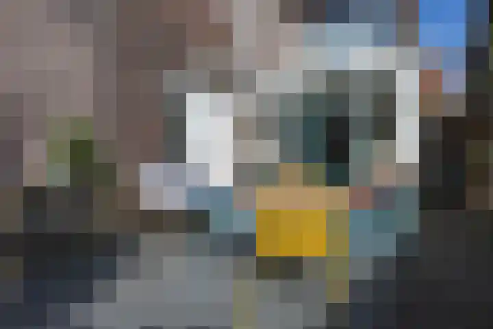 Biesterweg 44 Eindhoven thumbnail 56