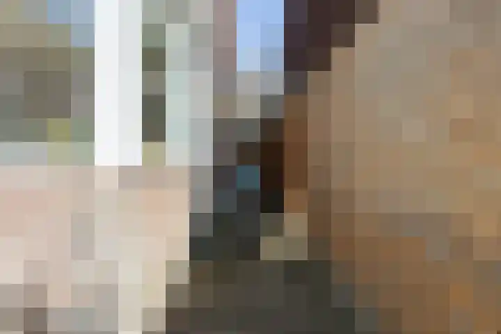 Biesterweg 44 Eindhoven thumbnail 57
