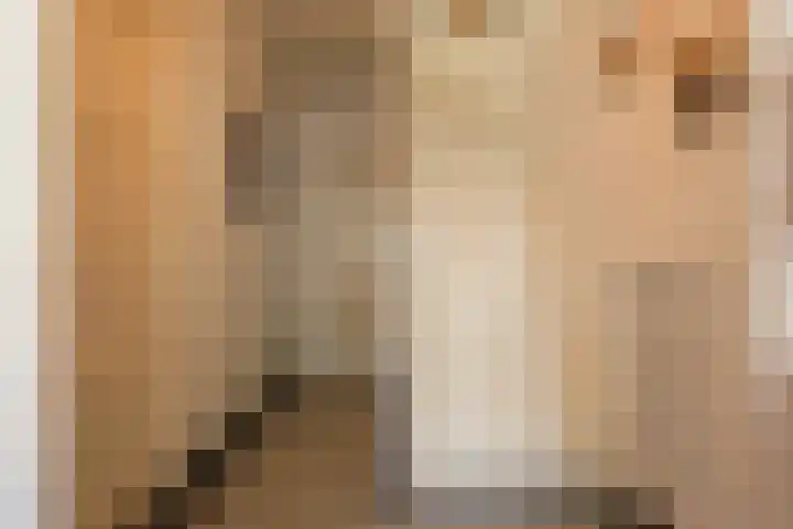 Biesterweg 44 Eindhoven thumbnail 8