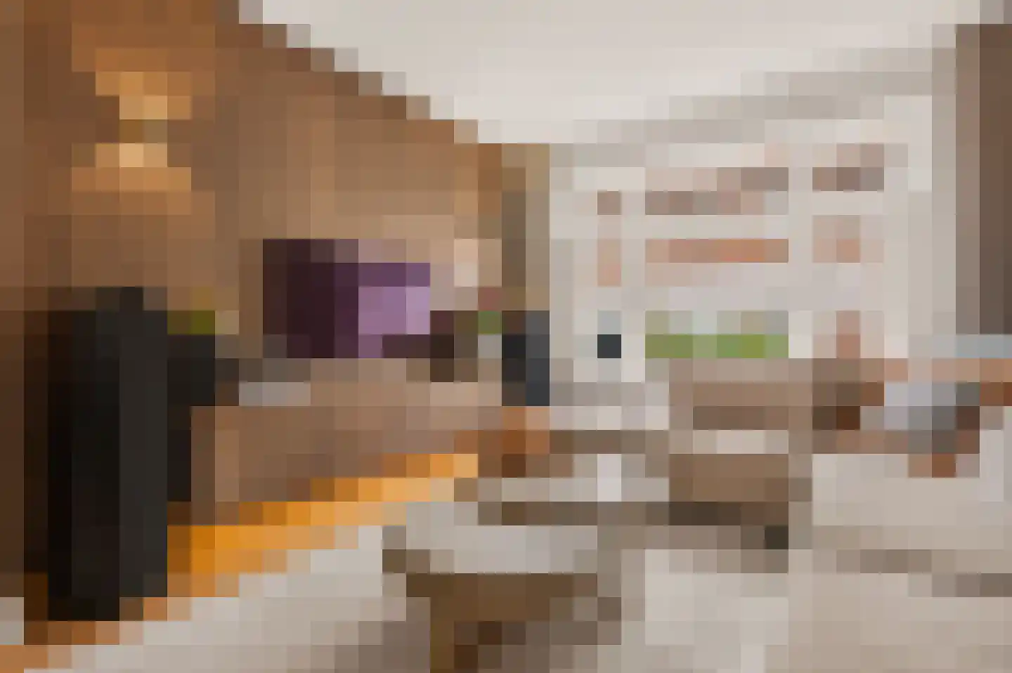 Biesterweg 48 Eindhoven thumbnail 12