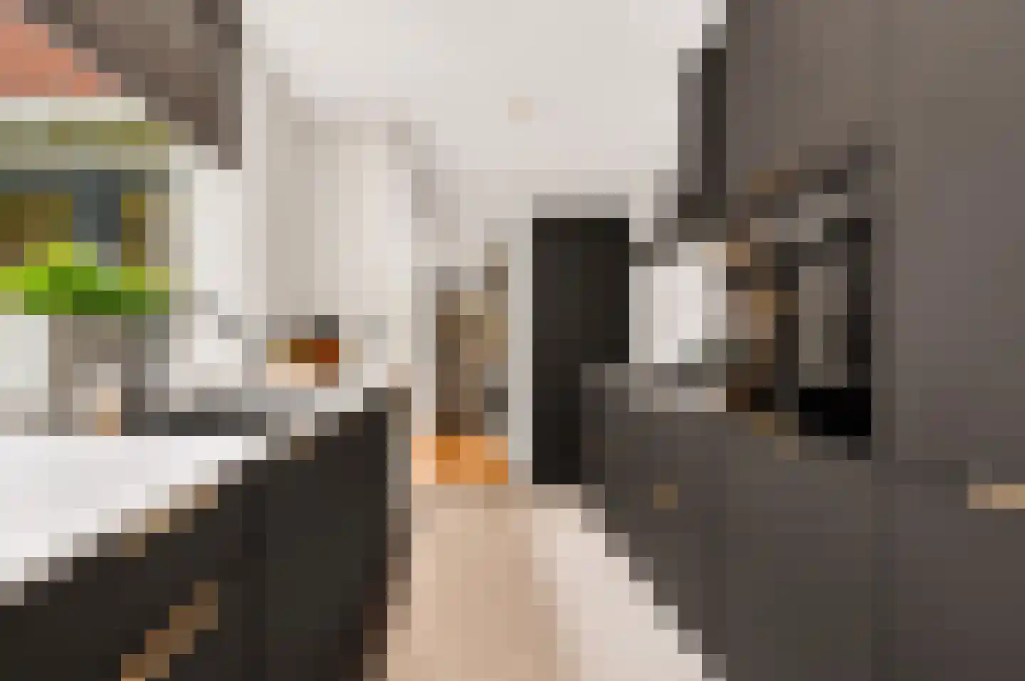 Biesterweg 48 Eindhoven thumbnail 18