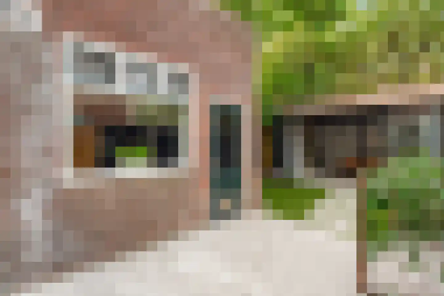 Biesterweg 48 Eindhoven thumbnail 21