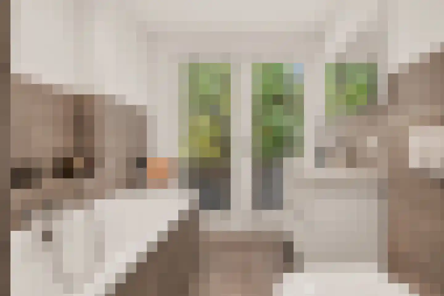 Biesterweg 48 Eindhoven thumbnail 31