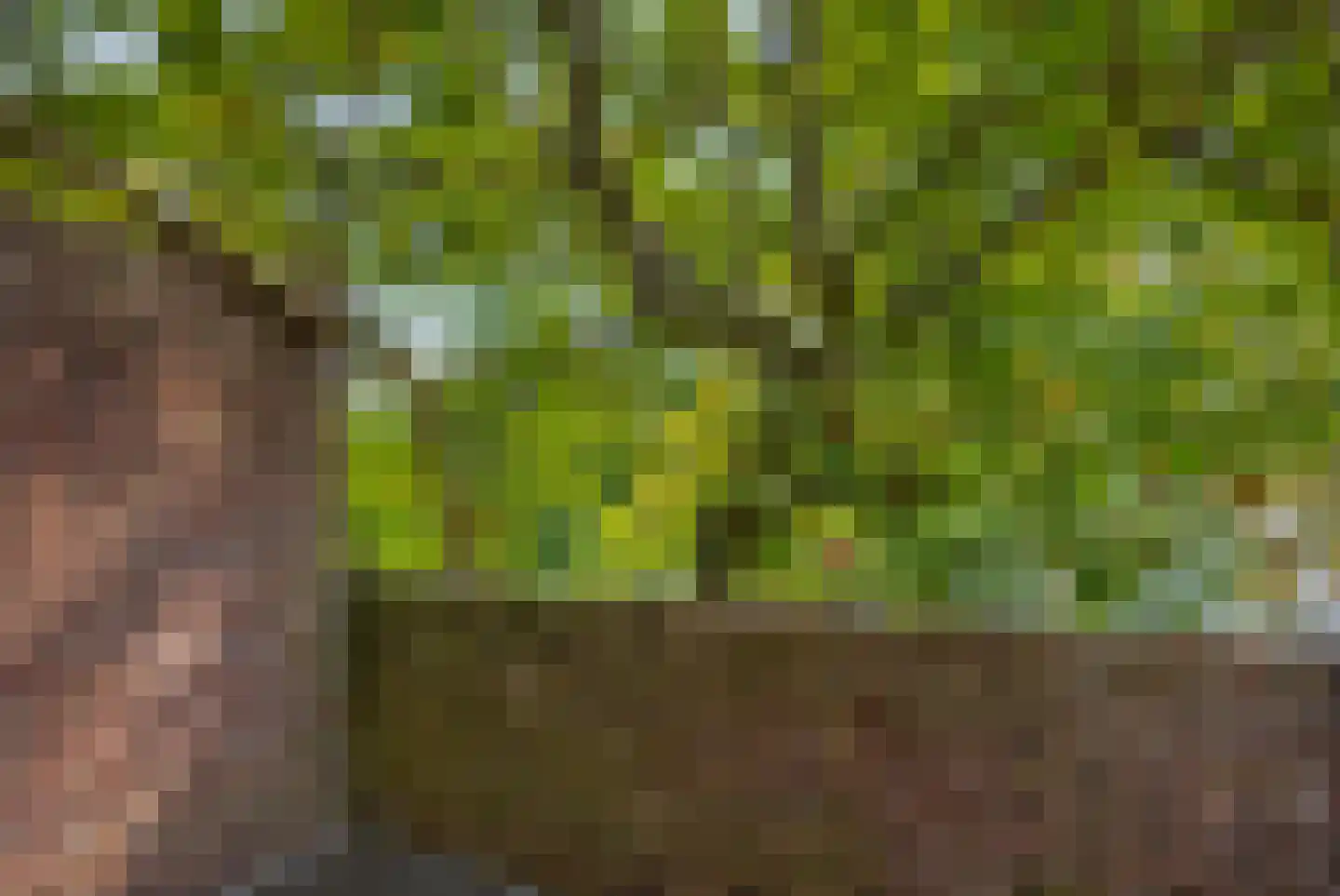 Biesterweg 48 Eindhoven thumbnail 32