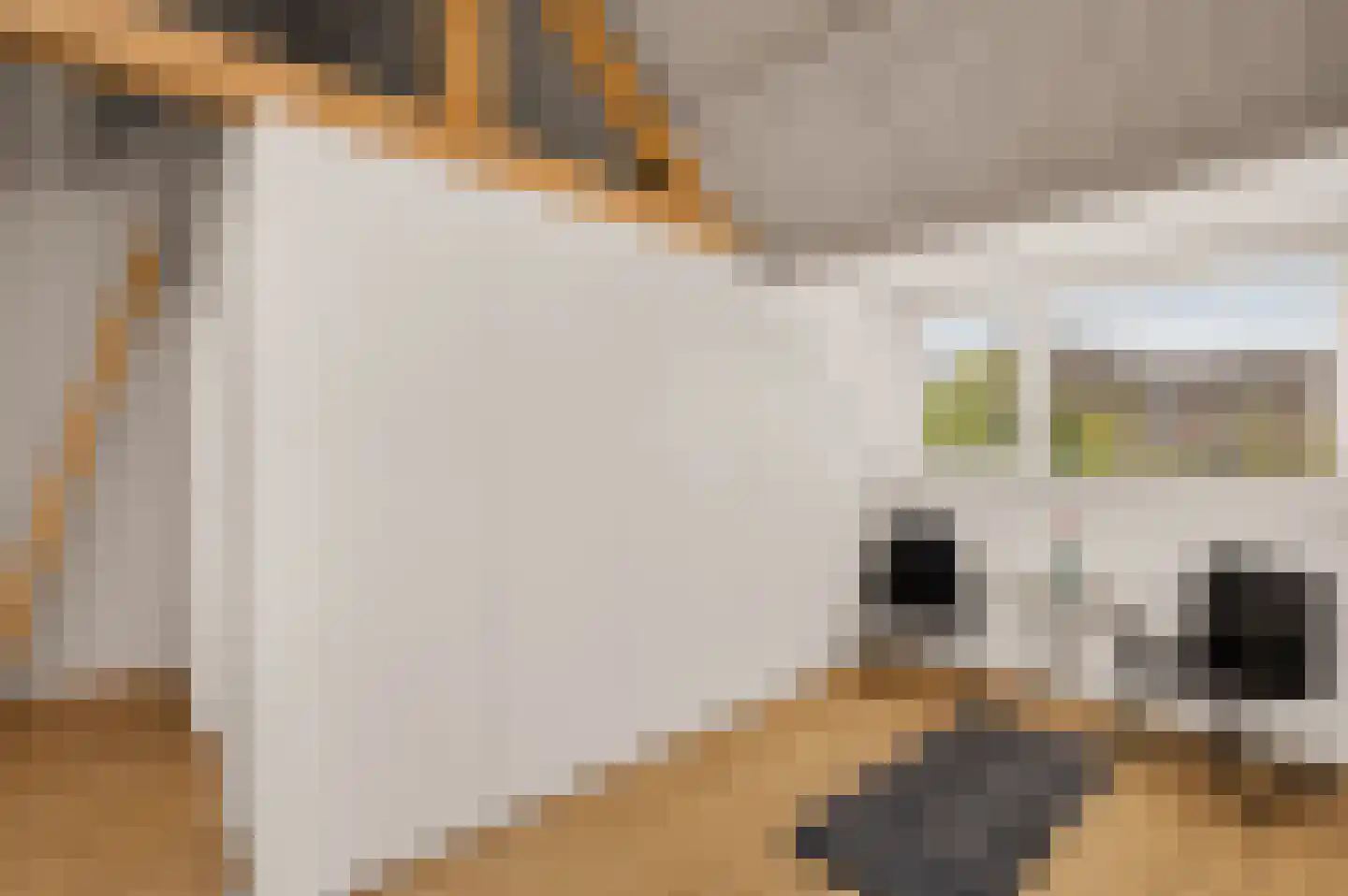 Biesterweg 48 Eindhoven thumbnail 42