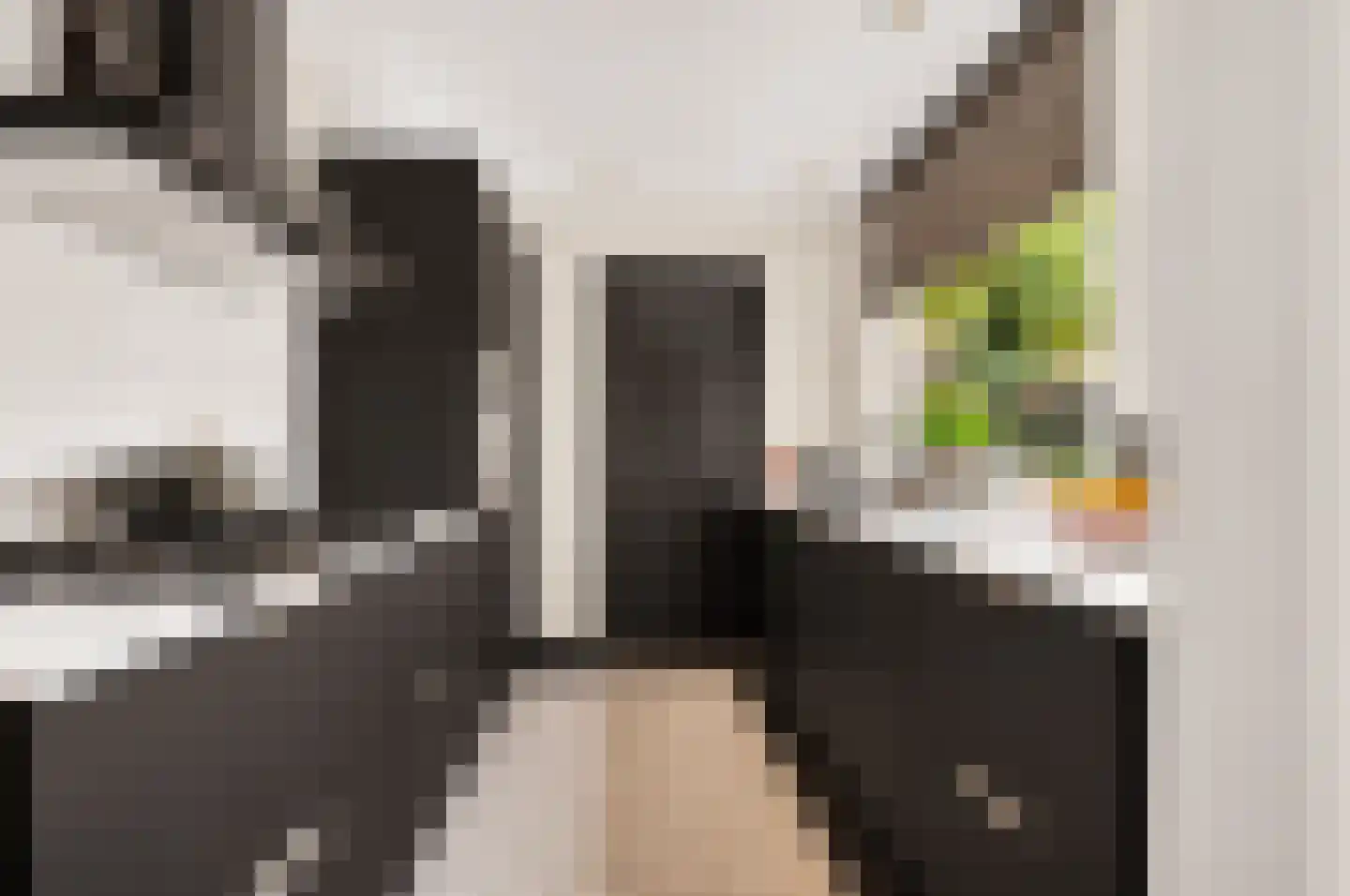 Biesterweg 48 Eindhoven thumbnail 5