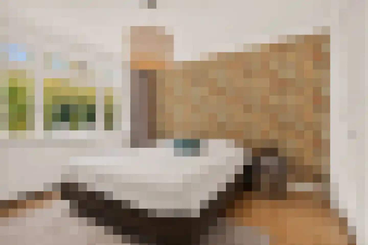 Biesterweg 48 Eindhoven thumbnail 6