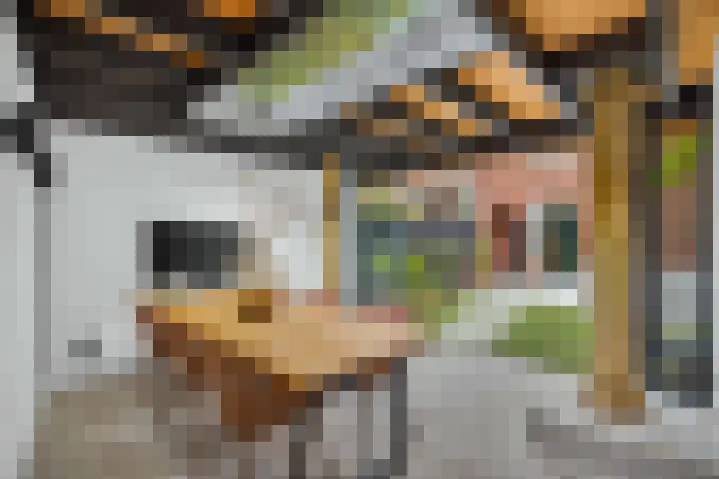 Biesterweg 48 Eindhoven thumbnail 7