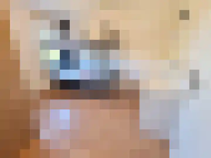 Biesterweg 61 Eindhoven