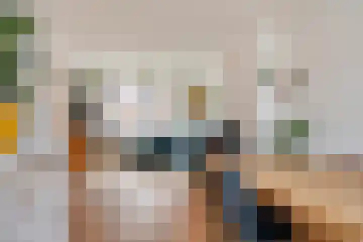 Biesterweg 61 Eindhoven thumbnail 17