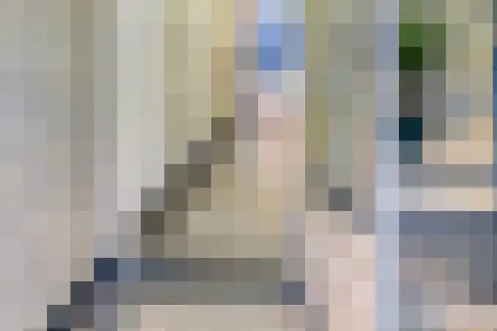 Biesterweg 61 Eindhoven foto 2