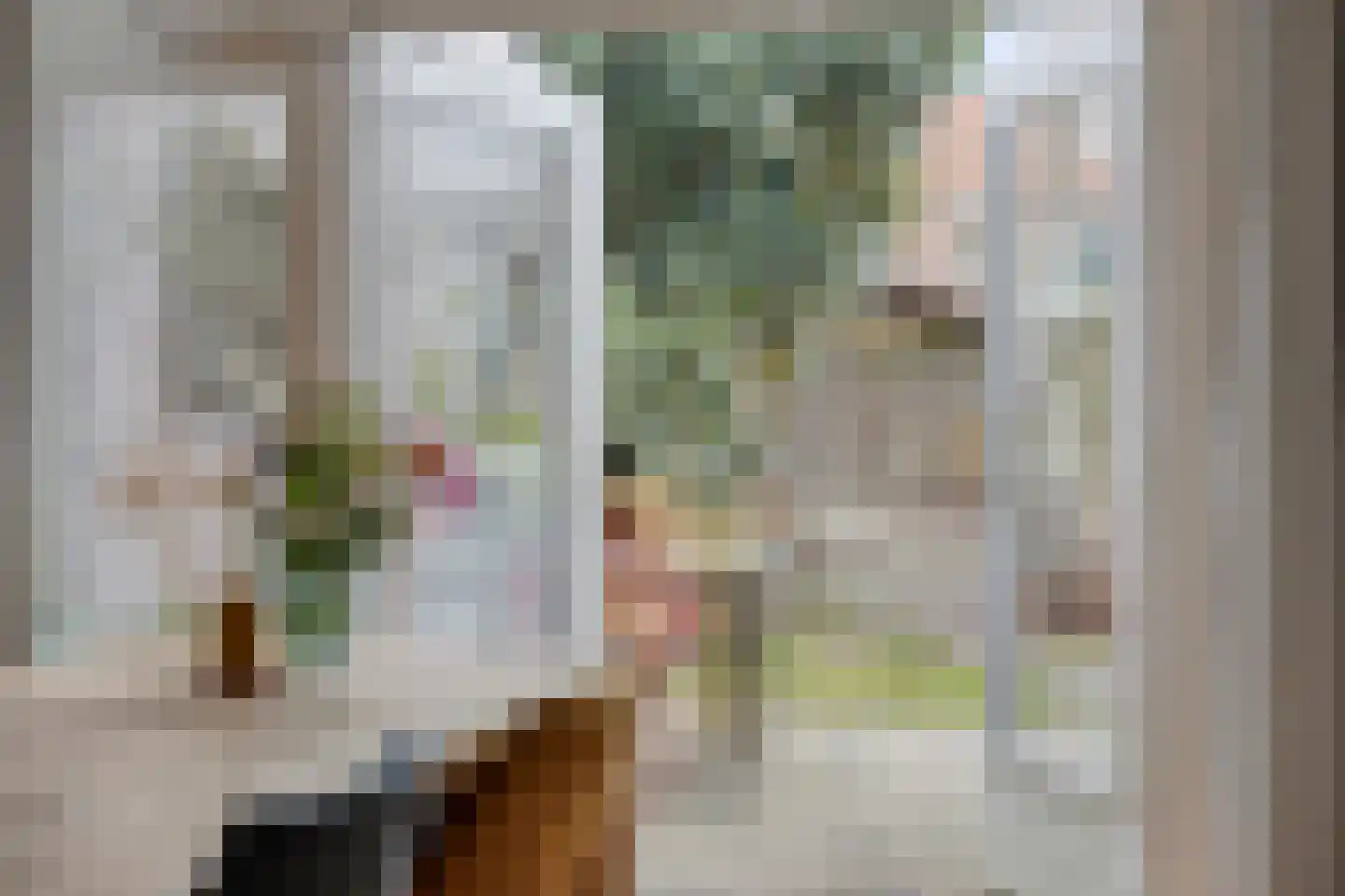 Biesterweg 61 Eindhoven thumbnail 21