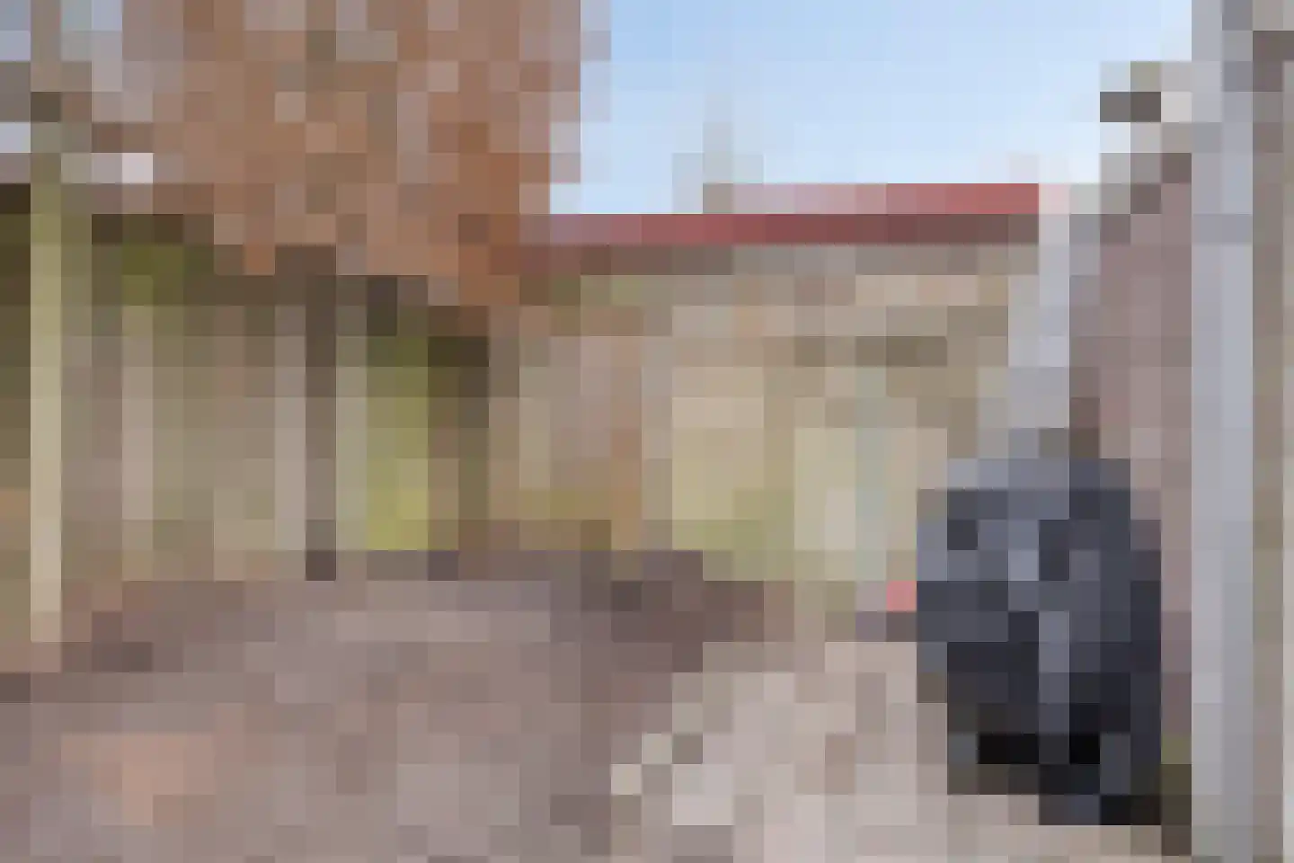 Biesterweg 61 Eindhoven thumbnail 36