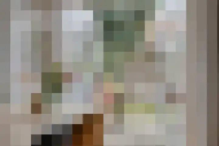 Biesterweg 61 Eindhoven thumbnail 4