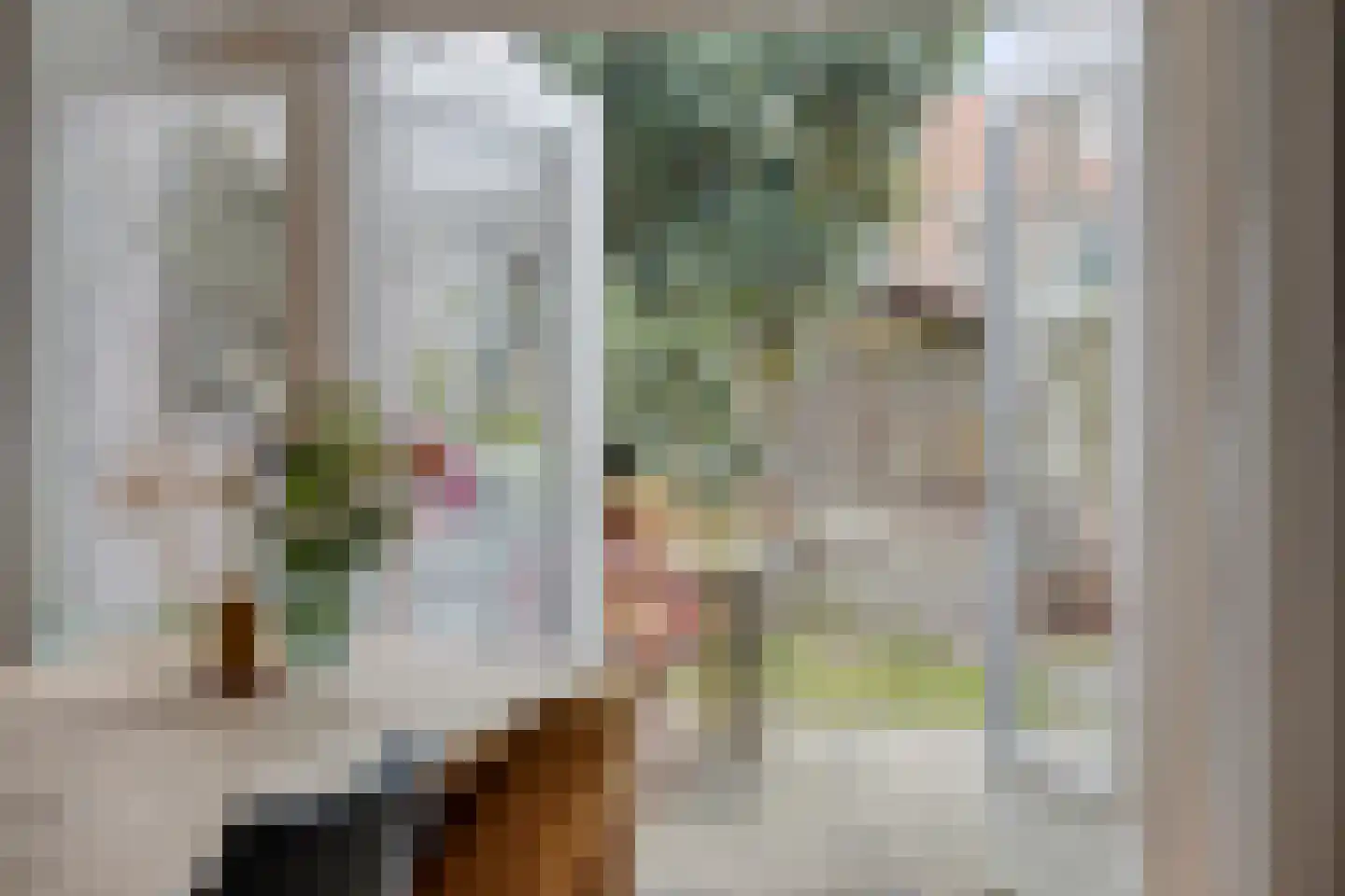Biesterweg 61 Eindhoven thumbnail 4