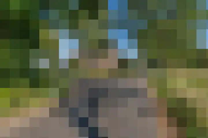 Biesterweg 61 Eindhoven thumbnail 7