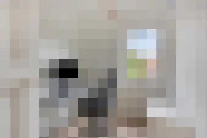 Biesterweg 63 Eindhoven thumbnail 24