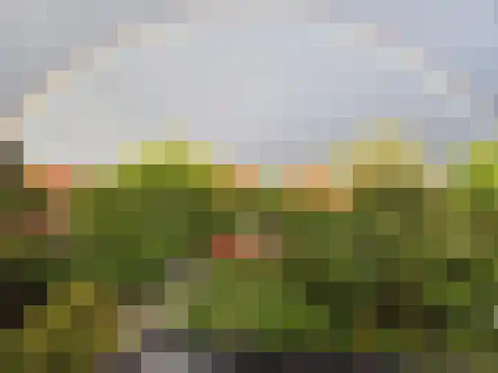 Biesterweg 63 Eindhoven thumbnail 25