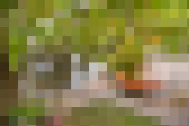 Biesterweg 63 Eindhoven thumbnail 31