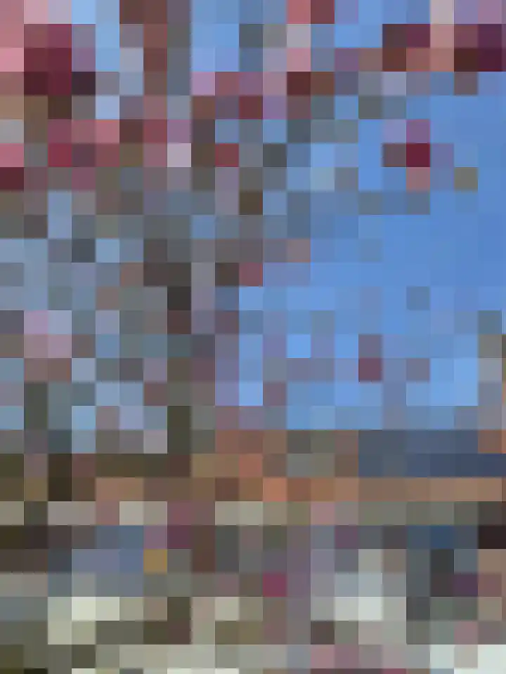 Biesterweg 63 Eindhoven thumbnail 32