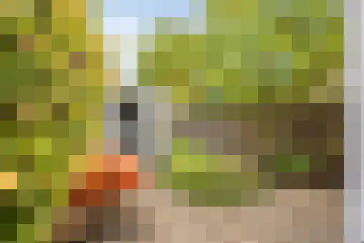 Biesterweg 63 Eindhoven thumbnail 33
