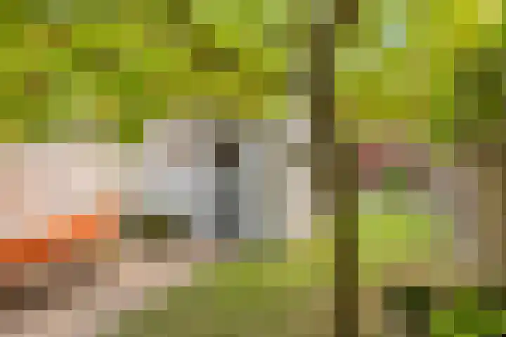 Biesterweg 63 Eindhoven thumbnail 34