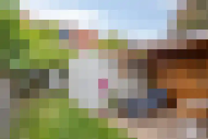 Biesterweg 63 Eindhoven thumbnail 35