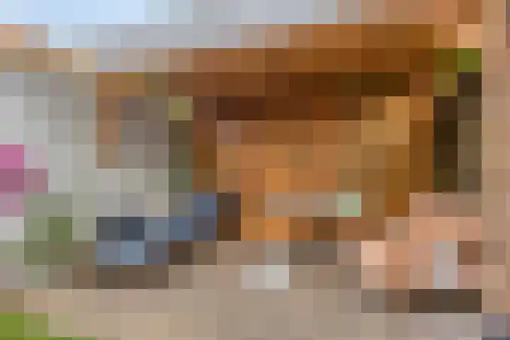 Biesterweg 63 Eindhoven thumbnail 36