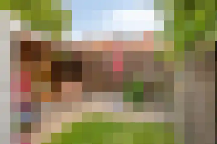 Biesterweg 63 Eindhoven thumbnail 37