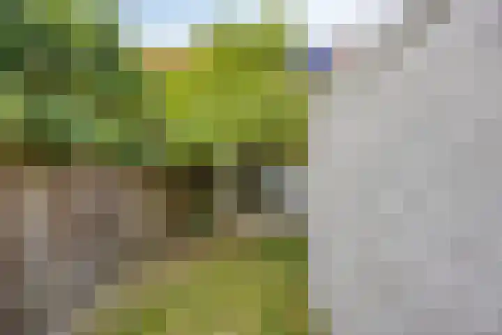 Biesterweg 63 Eindhoven thumbnail 38