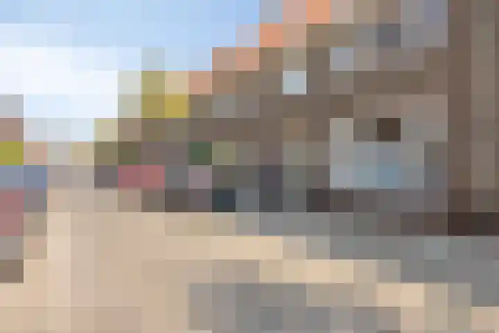 Biesterweg 63 Eindhoven thumbnail 39