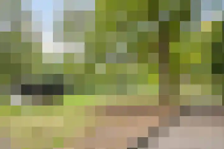 Biesterweg 63 Eindhoven thumbnail 41