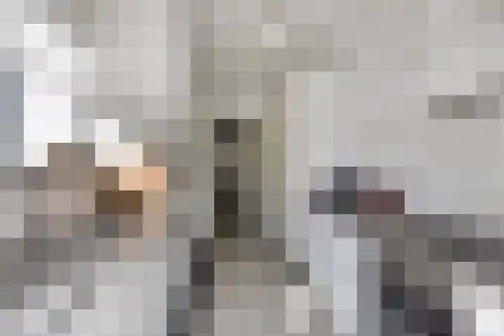 Biesterweg 67 Eindhoven thumbnail 13