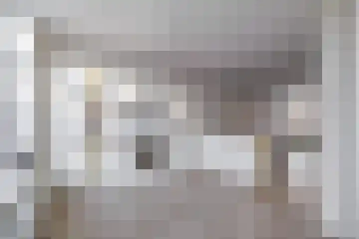 Biesterweg 67 Eindhoven thumbnail 16