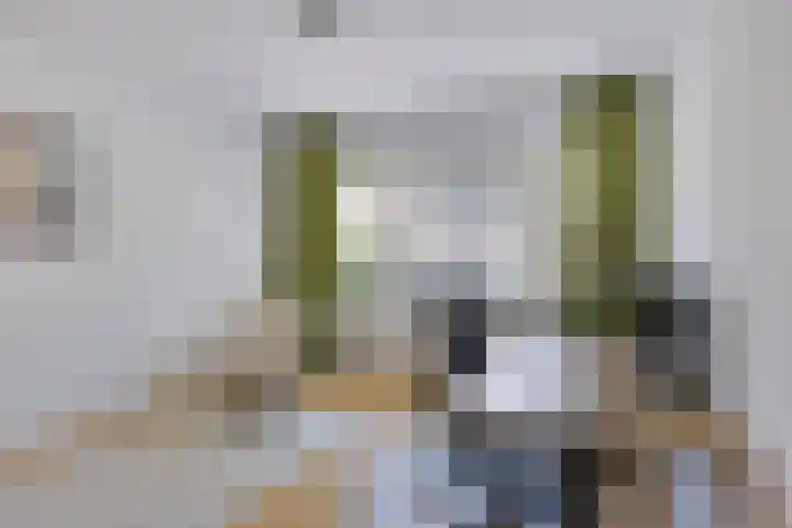 Biesterweg 67 Eindhoven thumbnail 21