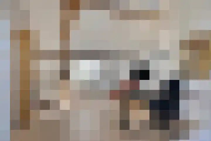 Biesterweg 67 Eindhoven thumbnail 26