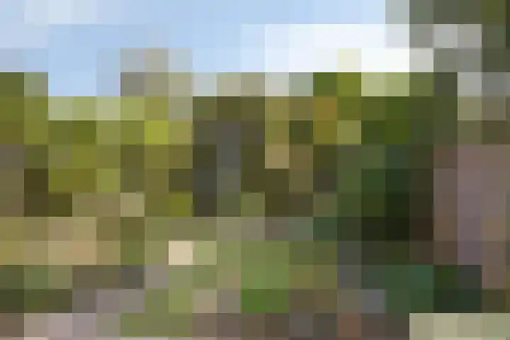 Biesterweg 67 Eindhoven thumbnail 27