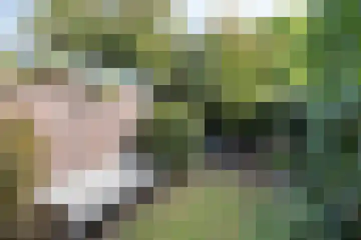 Biesterweg 67 Eindhoven thumbnail 29