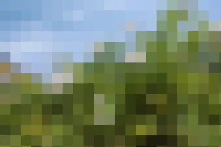 Biesterweg 67 Eindhoven thumbnail 30