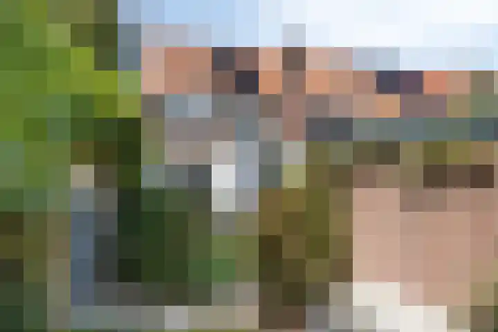 Biesterweg 67 Eindhoven thumbnail 31