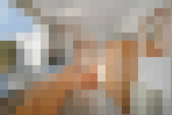 Biesterweg 67 Eindhoven thumbnail 34